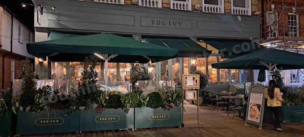 The Ivy_general