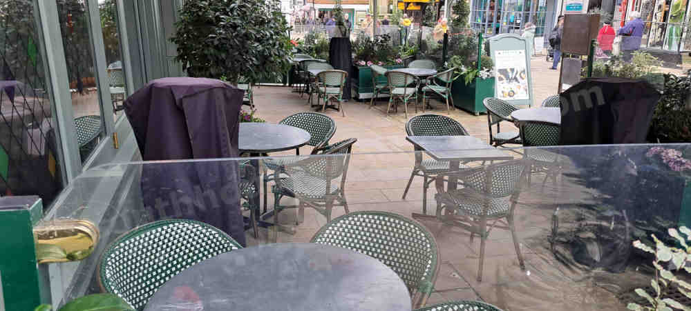 The Ivy_outside